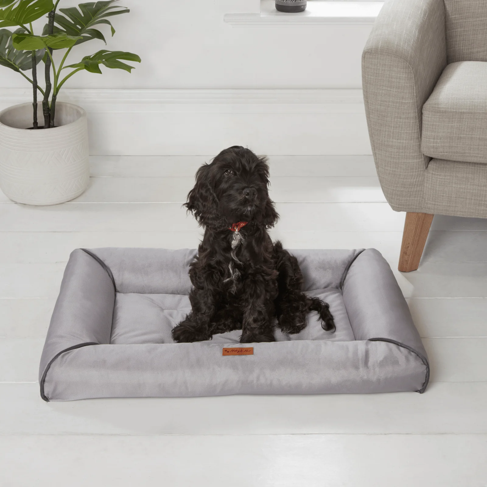 Thumbnail 10